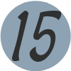 Number 15 Blue Icon