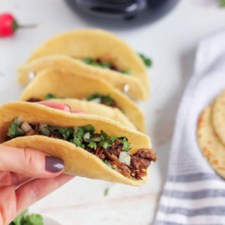 Keto Corn Tortillas And Keto Carnitas Tacos